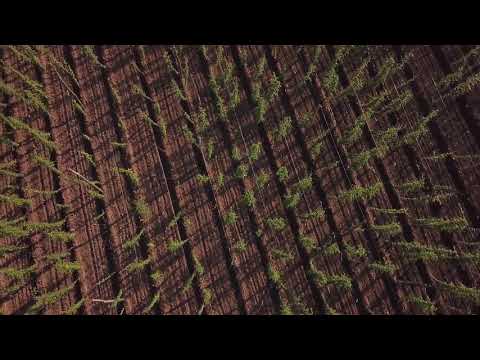 Reč struke ep. 230 25.12.2018. NAJAVA