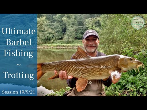 Epic Barbel Fishing - So Many Barbel & Chub On The Stick Float - River Wye - 19/9/21 (Video 274)