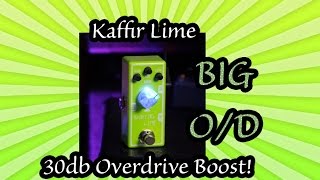 preview picture of video '30db Overdrive Boost!  Kaffir Lime by Tone City Audio'