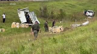 Monkeys escape from overturned truck on Mississippi highway
