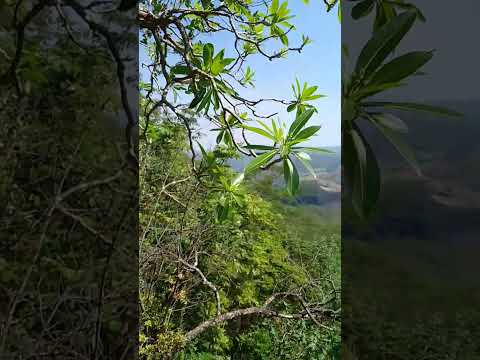 Mirante em Girassol - Cocalzinho de Goiás
