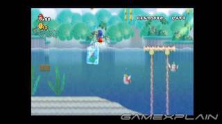 New Super Mario Bros. Wii Level 4-1 Star Coins