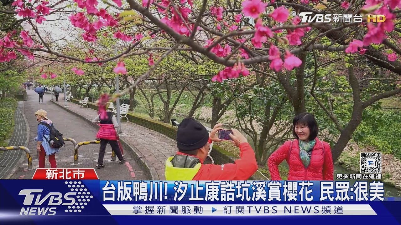 冷空氣一波波! 日本賞櫻花期 專家:整體偏早