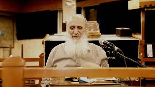 ?!התורה משל היא או מציאות שקרה בעולמנו