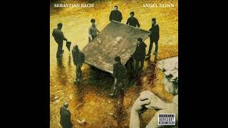 Sebastian Bach   Falling into you