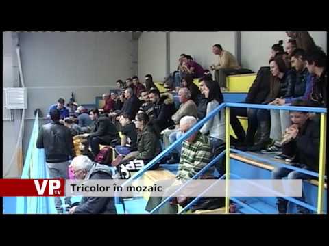 Tricolor în mozaic