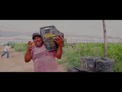 Traviezoz De La Zierra & Gerardo Díaz y Su Gerarquía - Y Cómo Creen (Video Oficial) TDLZ Records