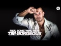 Faul - Something New (Tim Gorgeous Remix ...