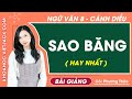 Sao băng Ngữ văn lớp 8 Cánh diều