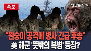 [????속보] 이란 향하던 美 해군병사, '원숭이 공격'에 긴급 후송…태국서 잠시 내렸다가 '봉변'│호르무즈 기뢰제거 작전에 USS치프호 이동배치 / 연합뉴스TV