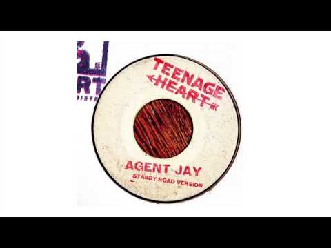 The New Riddim - What Can I Dub? (Teenage  Heart Records)