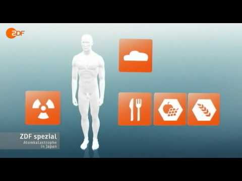 Wie Radioaktivität den Mensch schädigt!