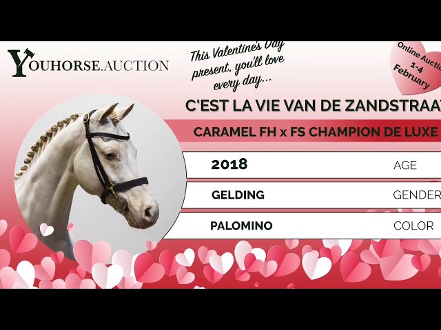 C'est la Vie showvideo