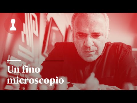 KASPAROV'S FINE MICROSCOPE | The Corner of the Immortals (364)