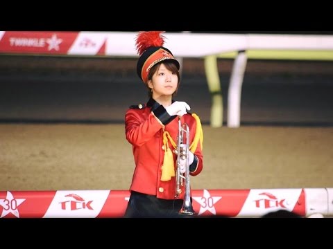 2016.12.29東京大賞典(GⅠ)⑤東京トゥインクルファンファーレ①11レース＠大井競馬場