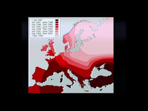 Mark Newman - Saturday Morning Physics - 10/12/13