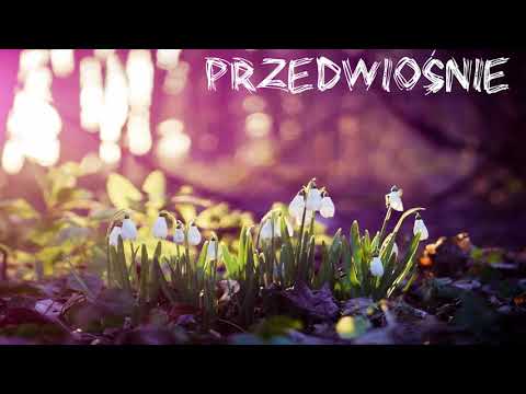 Lime x Makul - Przedwiośnie (beat Teluz)