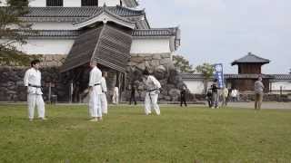 preview picture of video 'Hojo Kumite Okinawa Goju-ryu Karate-do 補助組手 沖縄剛柔流空手道 無心舘 白石城での野外稽古'