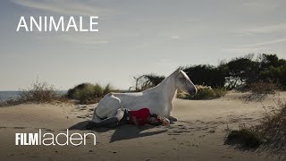 ANIMALE - Trailer