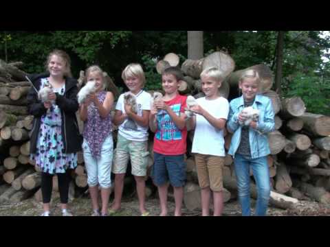 Stichting Participatie Wisentbos opent educatiepad door het Dronter bos Stichting Participatie Wisentbos opent educatiepad door het Dronter bos
