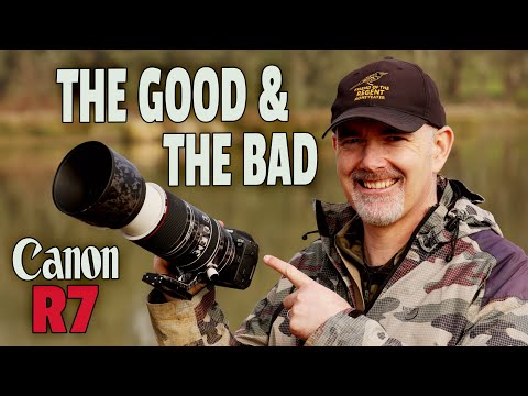 Canon R7 First Impressions for Wildlife, What Works, What Doesn't!