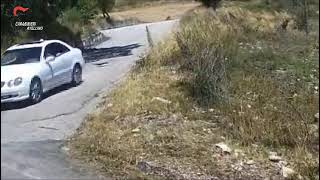 incendio-nel-bosco-di-caposele-66enne-ai-domiciliari