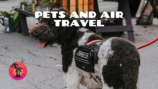 Pets and Air travel