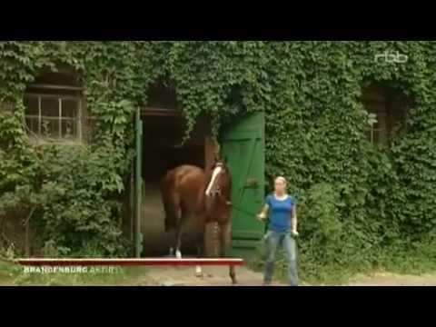 20.07.2013 RBB-Brandenburg aktuelle-Großer Preis von Hoppegarten