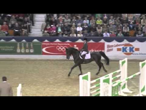 Dibadu Halle Münsterland Januar 2015