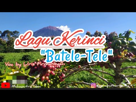 Lagu Kerinci | Batele-Tele | Voc by Uris Firmansyah (versi lirik)