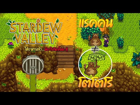 Stardew Valley 1.5 ให้อาหารแรคคูนข้างท่อระบายน้ำ แล้วจะได้อะไร?? #EP27