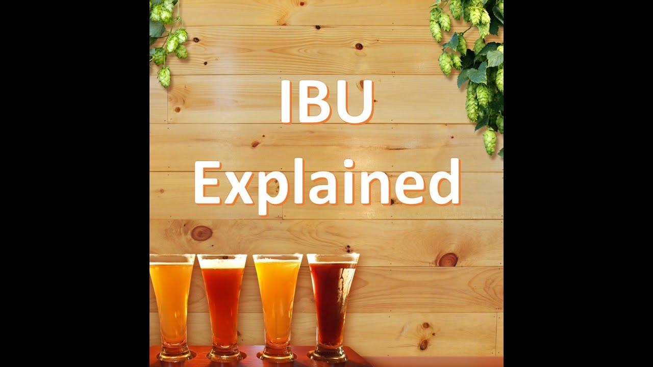 IBU Explained: Measuring Beer