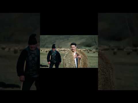 Învârtita Sibiului! 🏔️🌪️ Nelu Popa - Voce inconfundabilă 2026 🎤 #Invartita #Sibiu