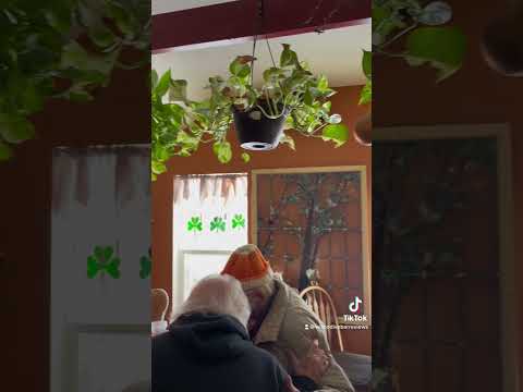 Church Street Social Video Review