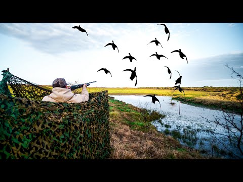 2 DAYS SOLO TEAL DUCK HUNTING TINY CREEK!