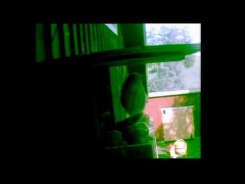 Tuulihaukan pönttö