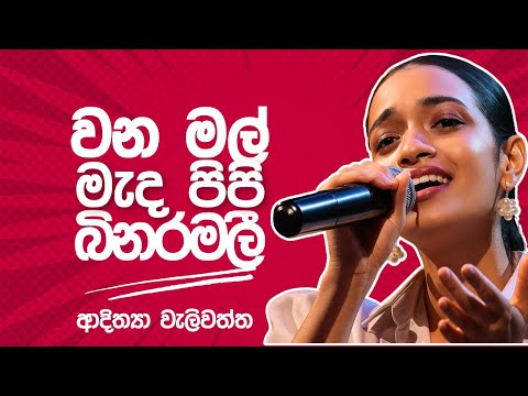 මල් මල් වන මල් මැද පිපි බිනර මලී | ආදිත්‍යා වැලිවත්ත | Mal Mal Wana Mal | Adithya   Weliwatta