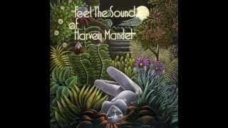 Harvey Mandel - "Just Wanna Be There"