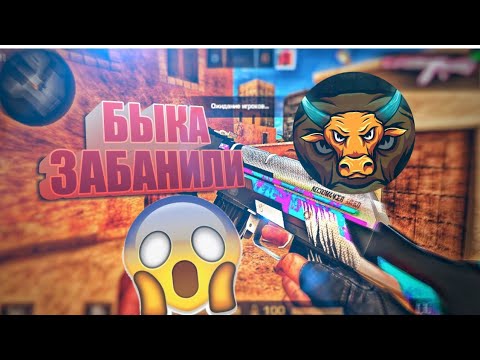 БЫКА ТРЕЙДЕРА ЗАБАНИЛИ | ВСЁ О БАНЕ БЫКА