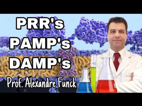 INNATE IMMUNITY RECEPTORS (PRR, PAMP and DAMP) - PROF. ALEXANDRE FUNCK