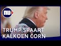 Trump verleent traditiegetrouw een kalkoen gratie | NU.nl