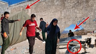 Habib Visited Hassan New &amp; Old Farmlands: The fate of separation or family reunion 