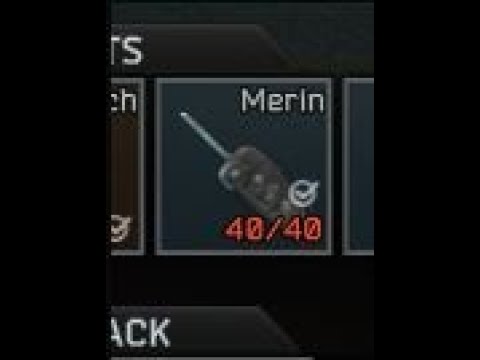 Second Day of Wipe Merin Key!