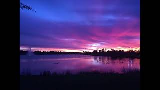 Jonas blue ft Jessie reyez - wherever you go