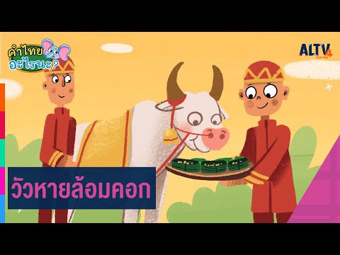 คลิกเพื่อดูคลิปวิดีโอ