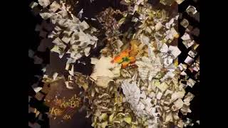 Kate Bush  - Delius  (Song of Summer )