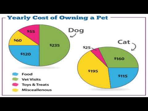 how much do american curl cats cost