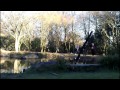Starsherrif Spydog Ausflug Japanischer Garten Düsseldorf