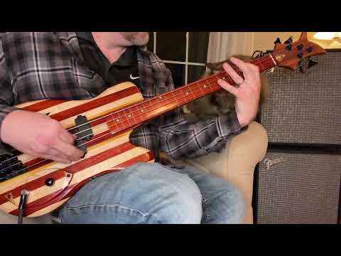 Fretless Chambered Short Scale Bass image 15