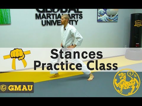 Shotokan Karate  - 8th Kyu Yellow Belt - Stances Practice Class thumbnail
